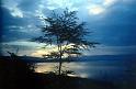 Afrc 00 088 Acacia i llac Nakuru a la posta del sol